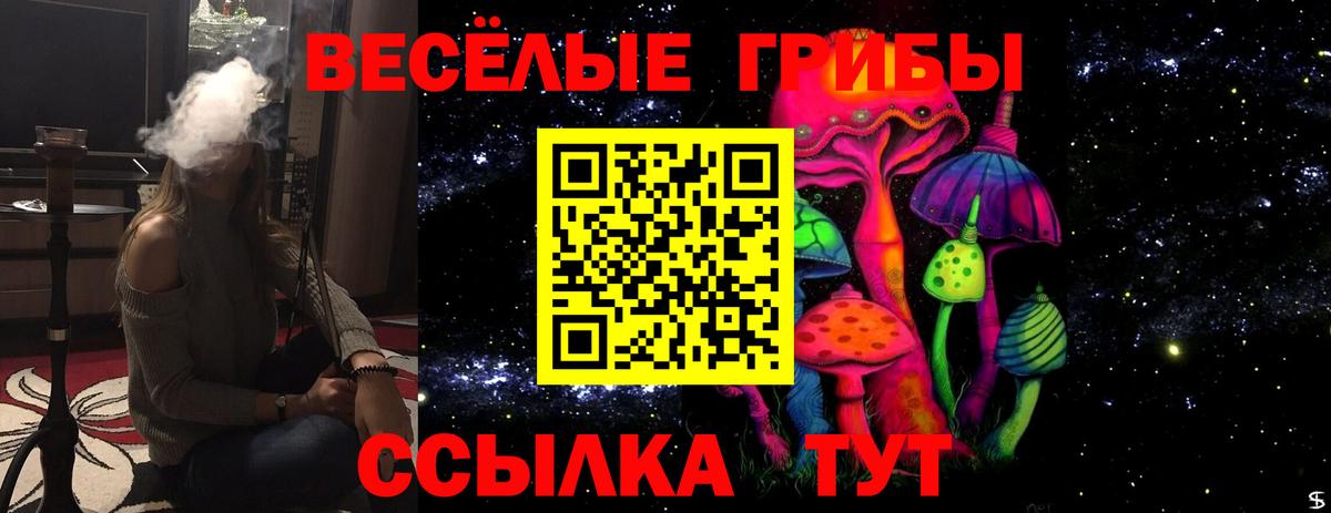 Качканар  Псилоцибиновые грибы MAGIC MUSHROOMS  Вход с VPN 